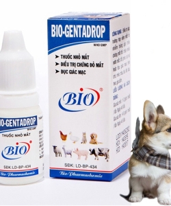 Bio 