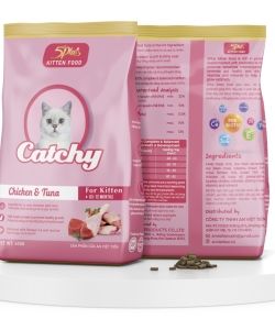 hạt mèo catchy mèo con