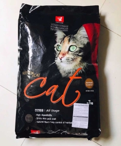 Kiten cat 