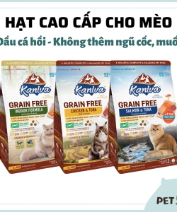 HẠT KANIVA DÀNH CHO MÈO-PetQ