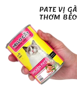 Hello cat  