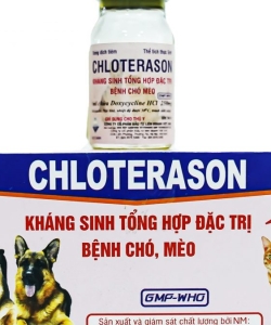 Kháng sinh tổng hợp 