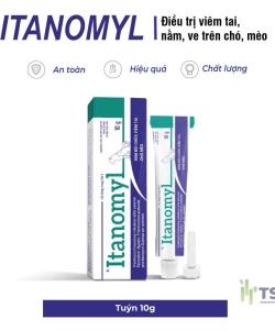 Nhỏ tai Itanomyl 10g 