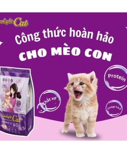 hạt mèo doulight