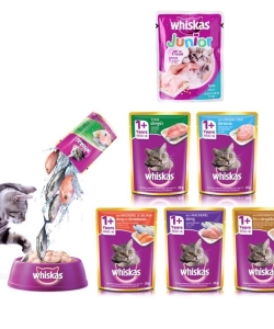 PATE WHISCAT CHO MÈO