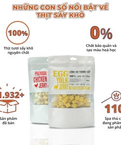 thiịt sấy khô