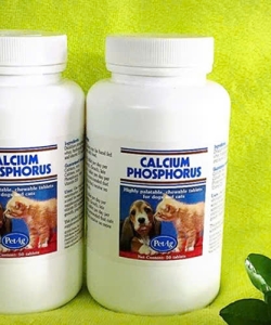 canxi phosphorus mỹ dành cho chó mèo