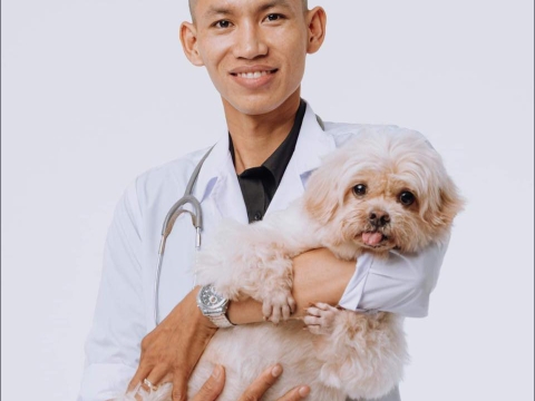 ảnh 6 