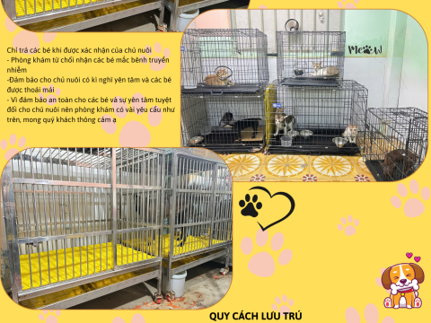 lưu chuồng tết 2024