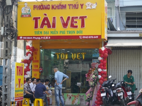 ảnh 7 