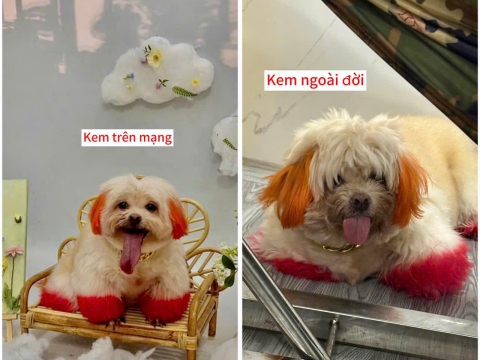 kem xinh xắn