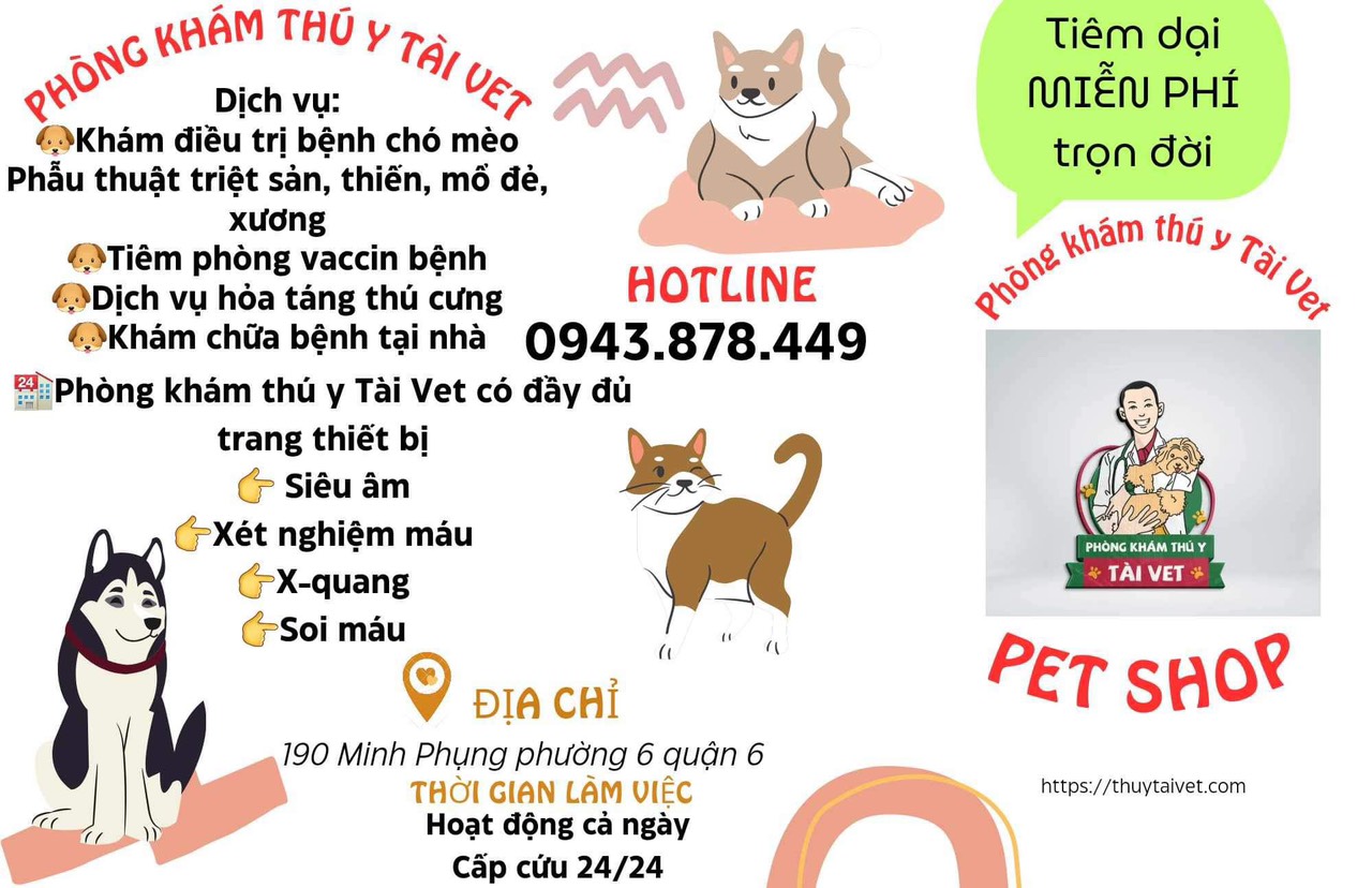 Phòng khám thú y Tài Vet quận 6