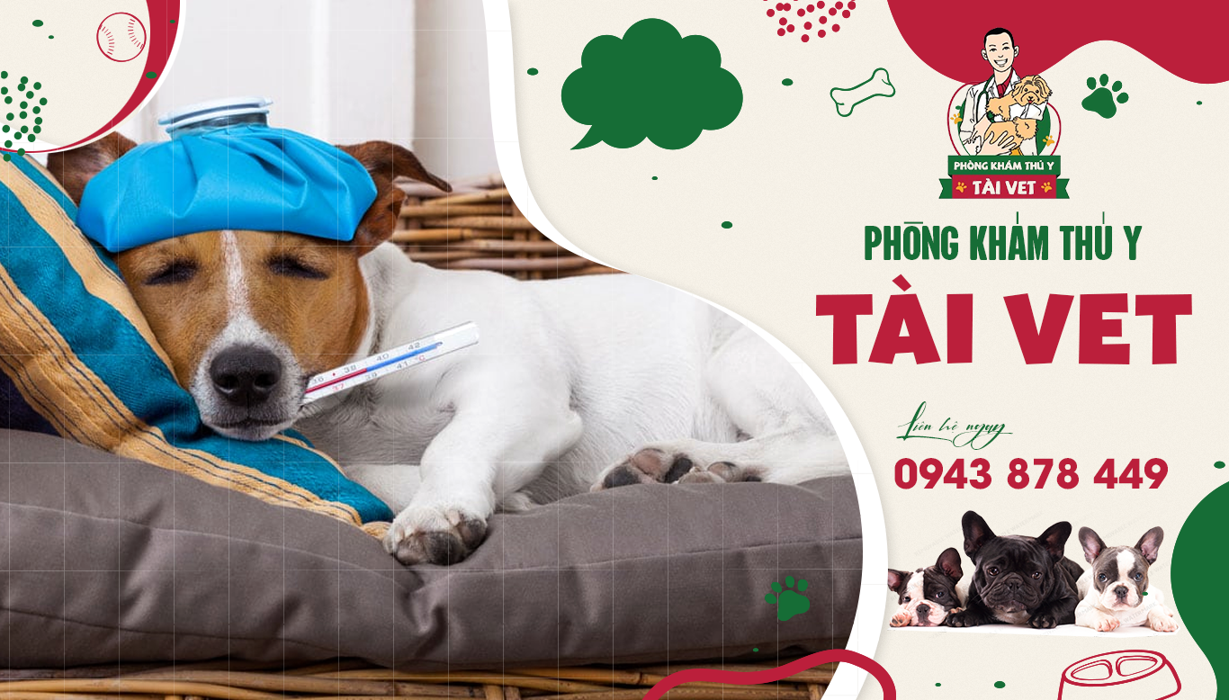 Thú Y Tài Vet Minh Phụng Quận 6